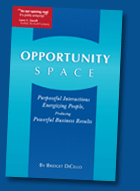 Opportunity Space by Bridget DiCello